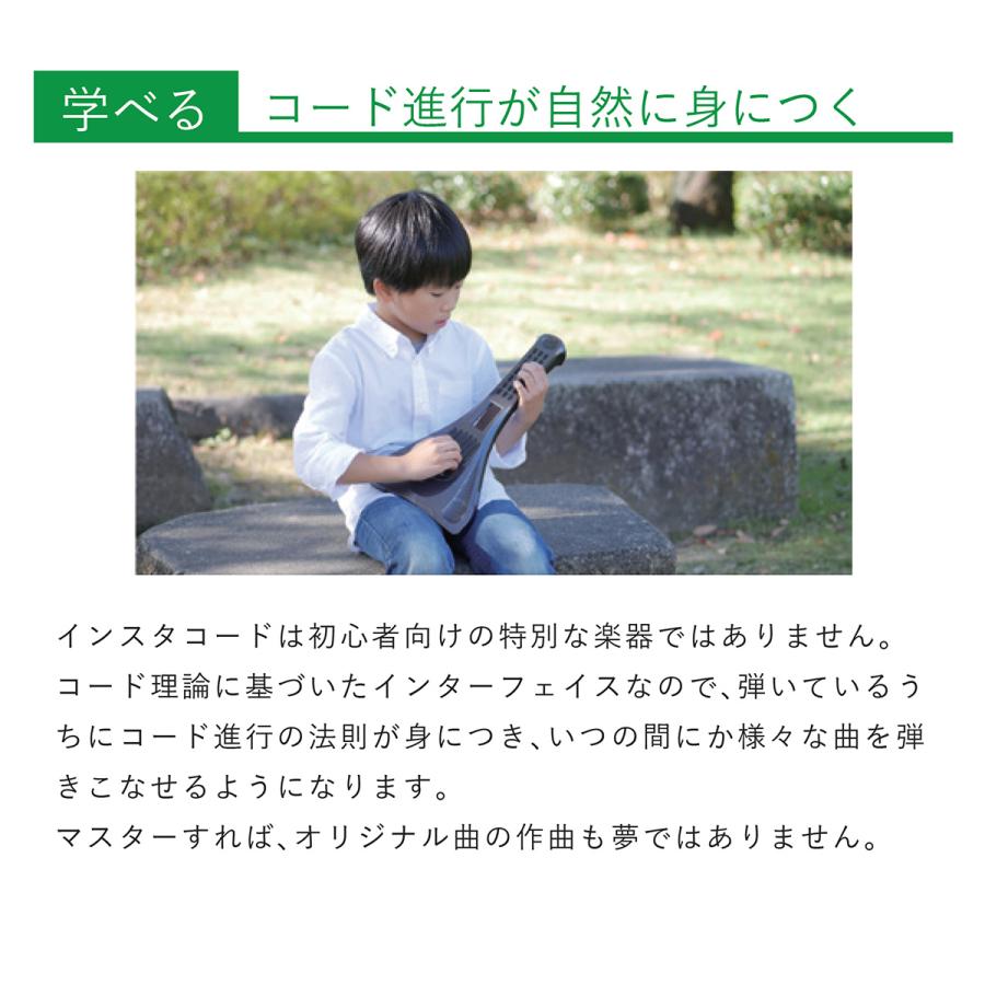 新宿店展示中〕 InstaChord インスタコード IC31BK InstaChord+