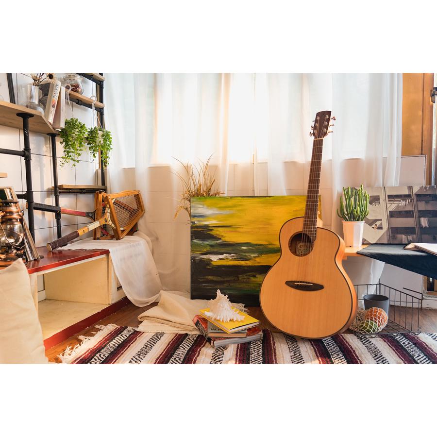 aNueNue M10（美品） aNueNue アヌエヌエ M10 ミニアコースティックギター Original Series