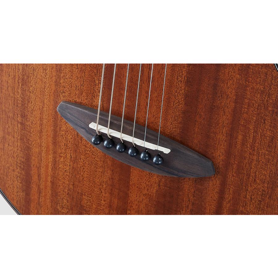 aNueNue アヌエヌエ M20E エレアコギター Original Series aNN-M20E
