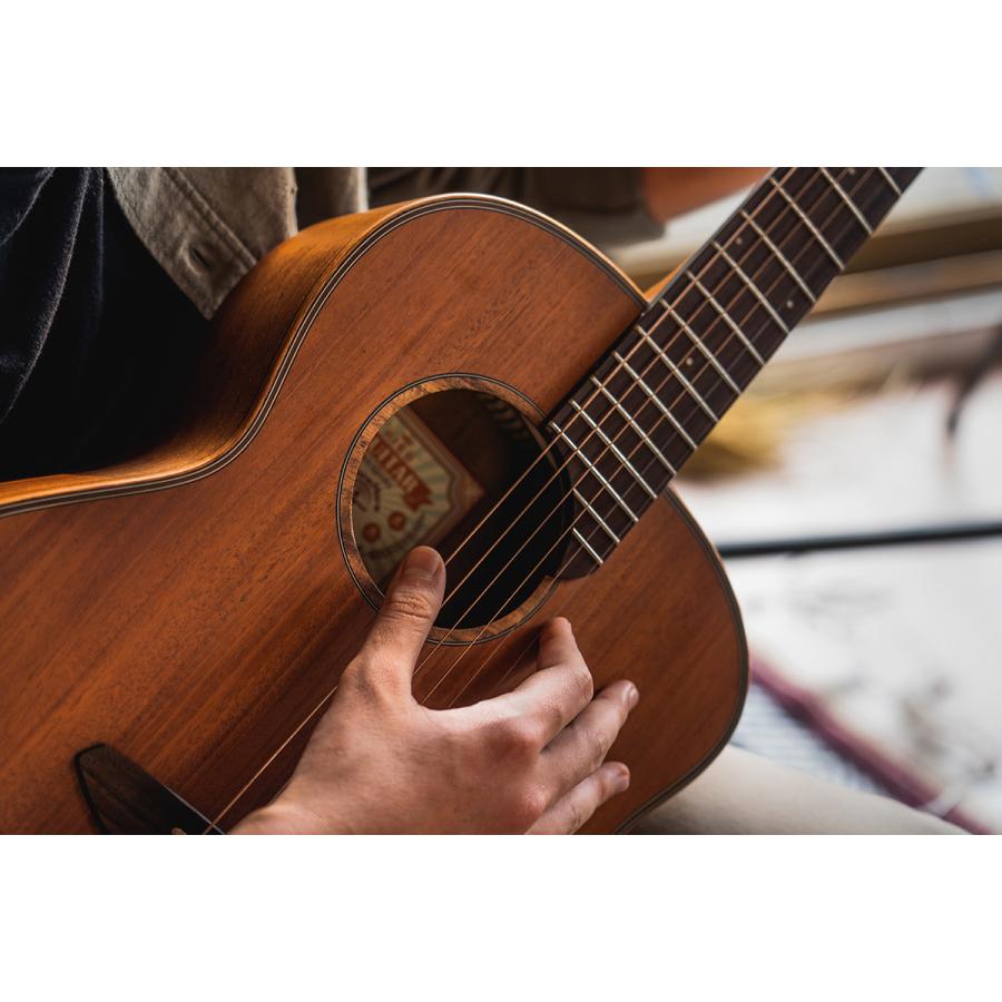 aNueNue アヌエヌエ M20E エレアコギター Original Series aNN-M20E