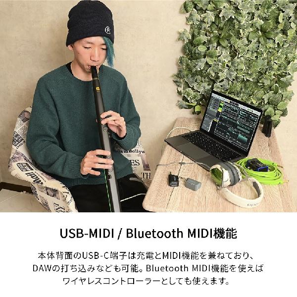 【２点セット】 Robkoo ロブクー R1 フルート / サックススタイル ウインドシンセサイザー 【KUE1079568325】(39008円)