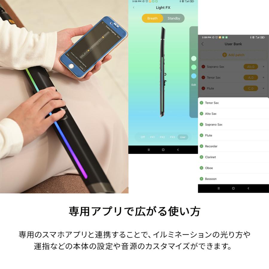 【２点セット】 Robkoo ロブクー R1 フルート / サックススタイル ウインドシンセサイザー 【KUE1079568325】(39008円)