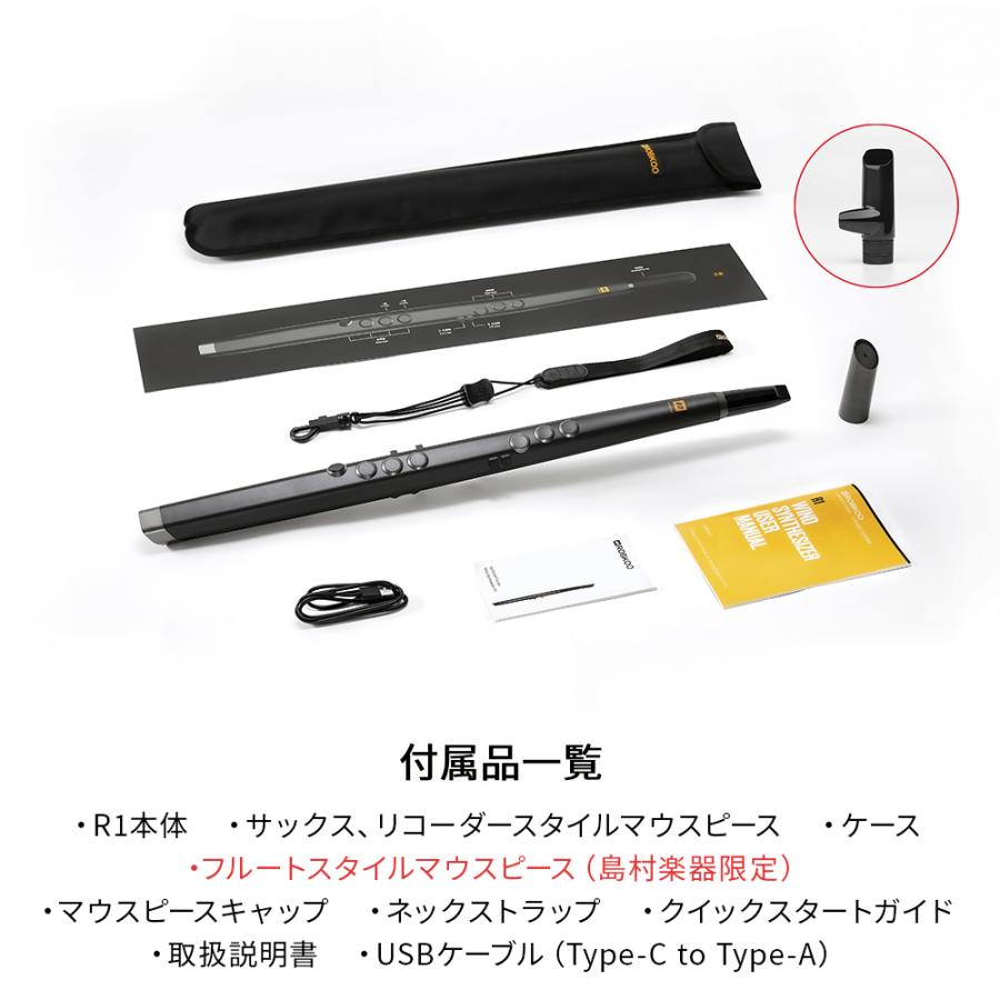 【２点セット】 Robkoo ロブクー R1 フルート / サックススタイル ウインドシンセサイザー 【KUE1079568325】(39008円)