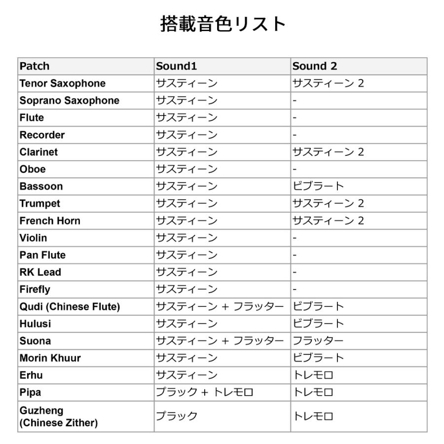 【２点セット】 Robkoo ロブクー R1 フルート / サックススタイル ウインドシンセサイザー 【KUE1079568325】(39008円)