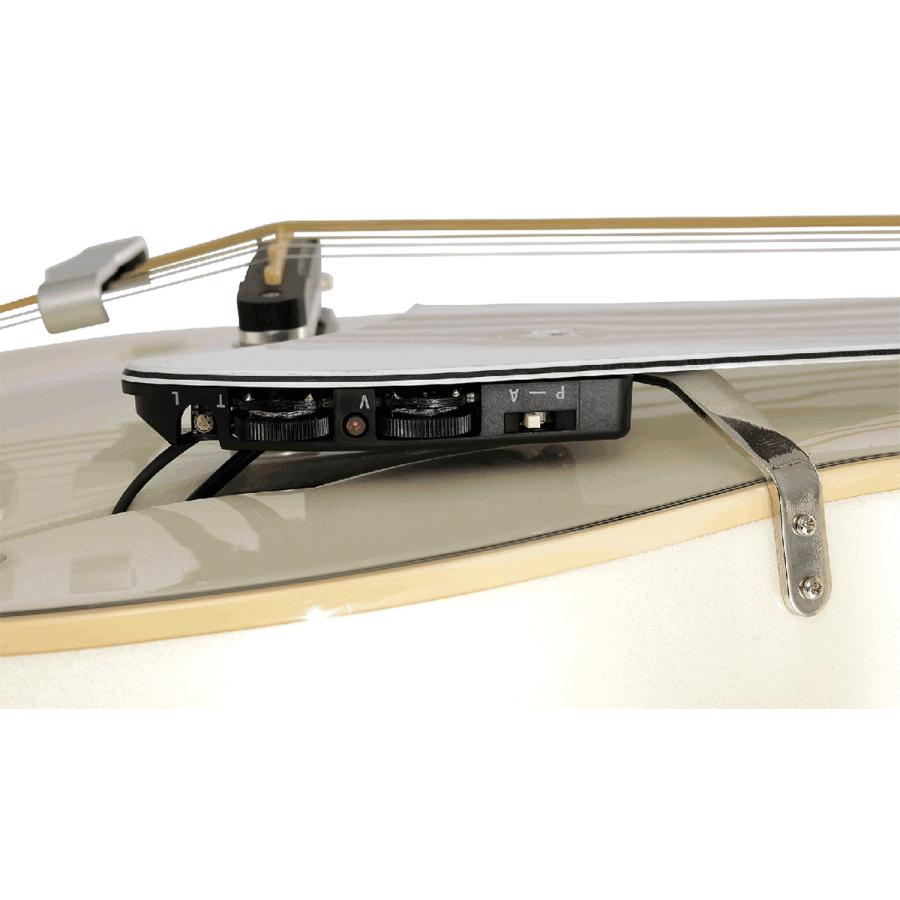 VOX ボックス VGA-5TPS NAMG ナチュラルグリーンメタリック フルアコ