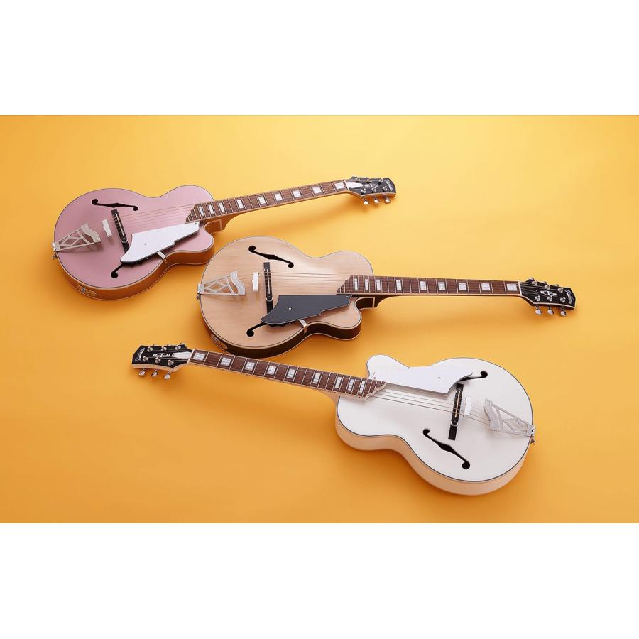 アコースティックギター！ すべてのパフォーマーに向けて開発された新アコースティック