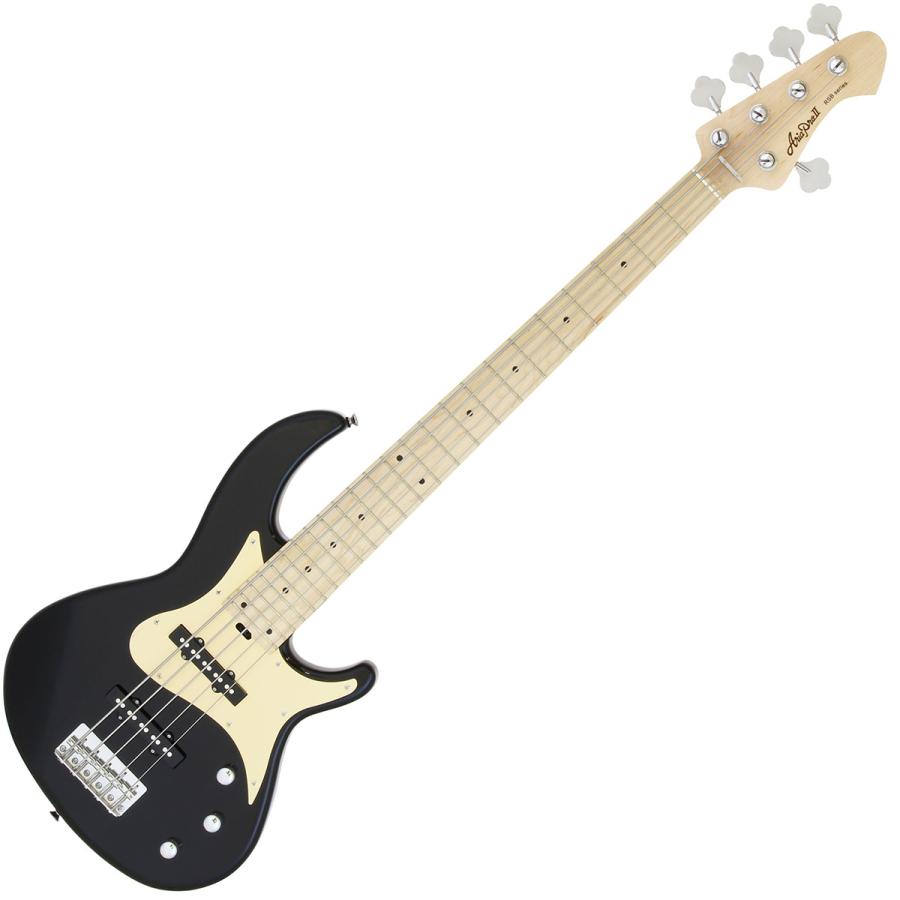 AriaProII アリアプロ2 RSB-618/5 BK 5弦ベース初心者12点セットFender