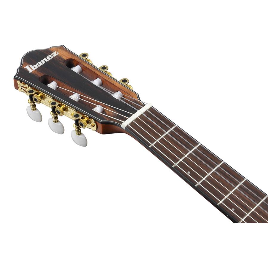 アイバニーズ　 エレクトリックギター IBANEZ アイバニーズ FRH10N-IBF Nylon Electric Guitar IBF ナイロン