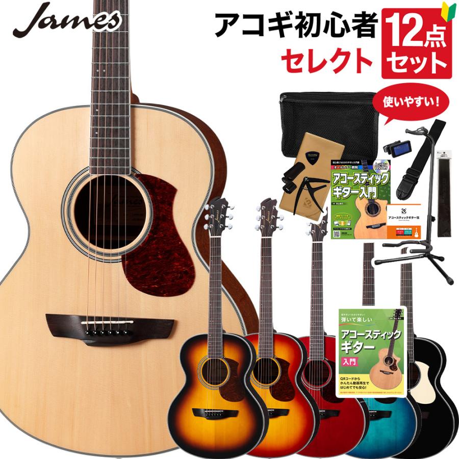 James ジェームス J-300A アコースティックギター セレクト12点セット 