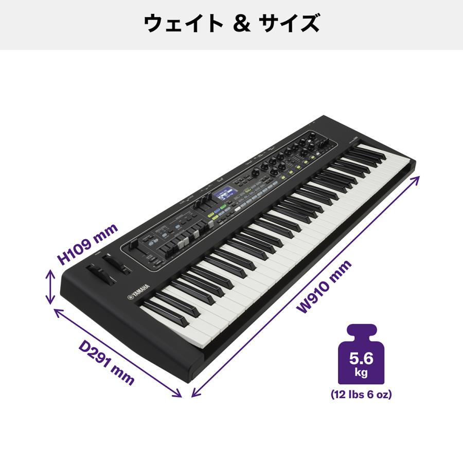 〔限定追加音源付属〕 YAMAHA ヤマハ CK61 シンプルセット +　ケース 必要なアクセサリとケースが付属 ステージキーボード｜shimamura｜05