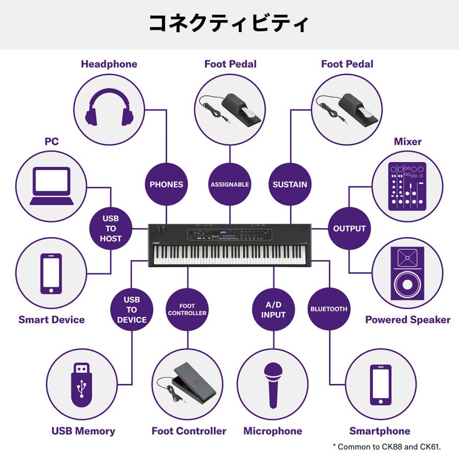 YAMAHA ヤマハ CK61 シンプルセット +　ケース 【gregsbrain】 必要なアクセサリとケースが付属 ステージキーボード