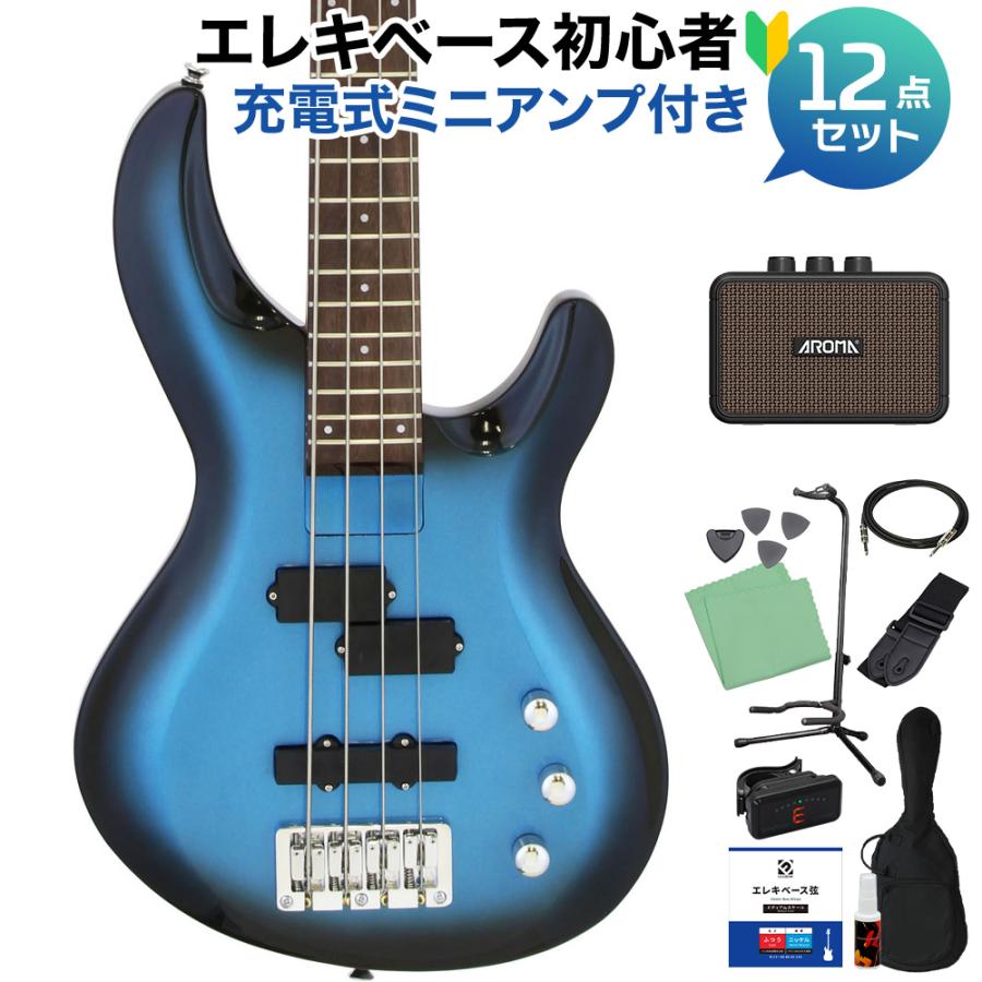 AriaProII アリアプロ2 IGB-STD MBS ベース初心者12点セット 充電式