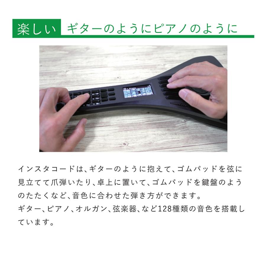 InstaChord インスタコード IC31BK 専用ケースセット