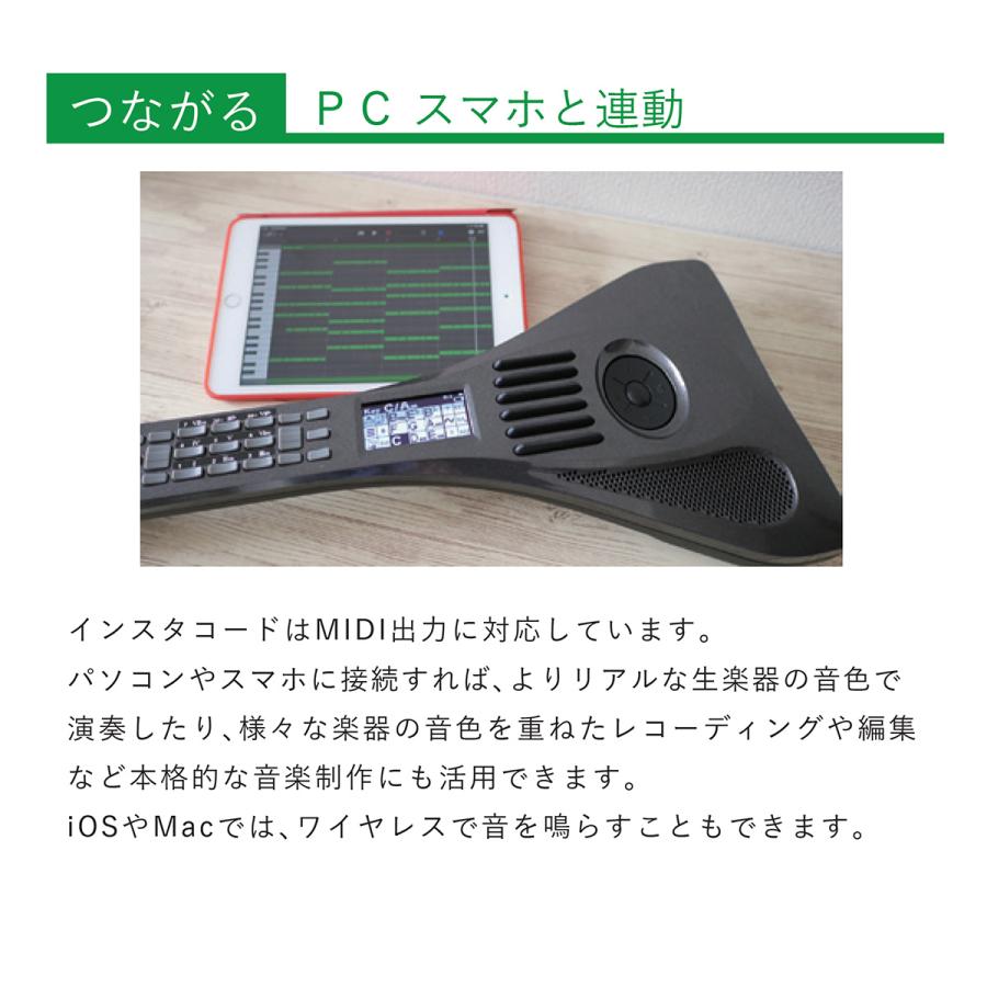 InstaChord インスタコード IC31WH 専用ケースセット InstaChord+