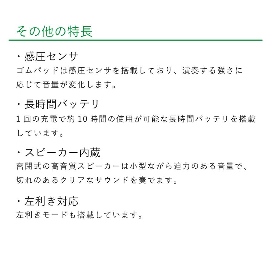 InstaChord インスタコード IC31WH 専用ケースセット InstaChord+