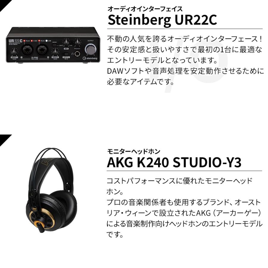 steinberg スタインバーグ UR22C + Cubase Artist エレキギターDTM 