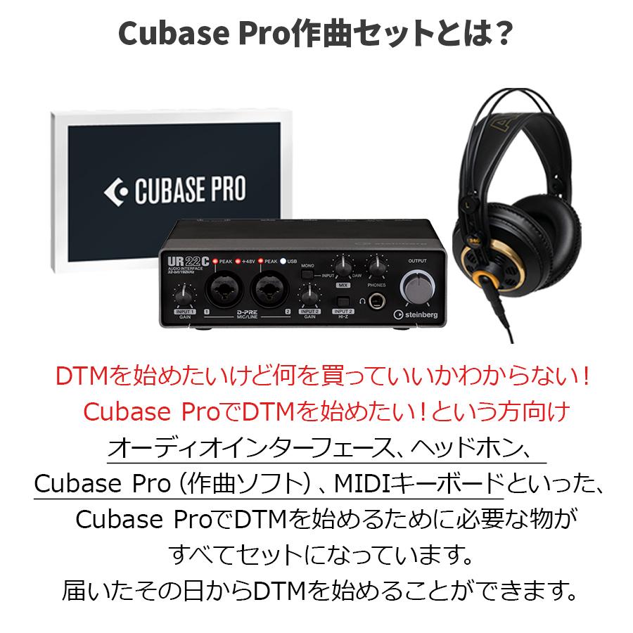 Steinberg スタインバーグ UR22C Cubase Pro 作曲初心者セット 初めて