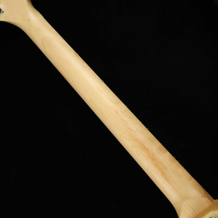 WASHBURN ワッシュバーン N2 NUNO S/N：IW24030034 ヌーノ