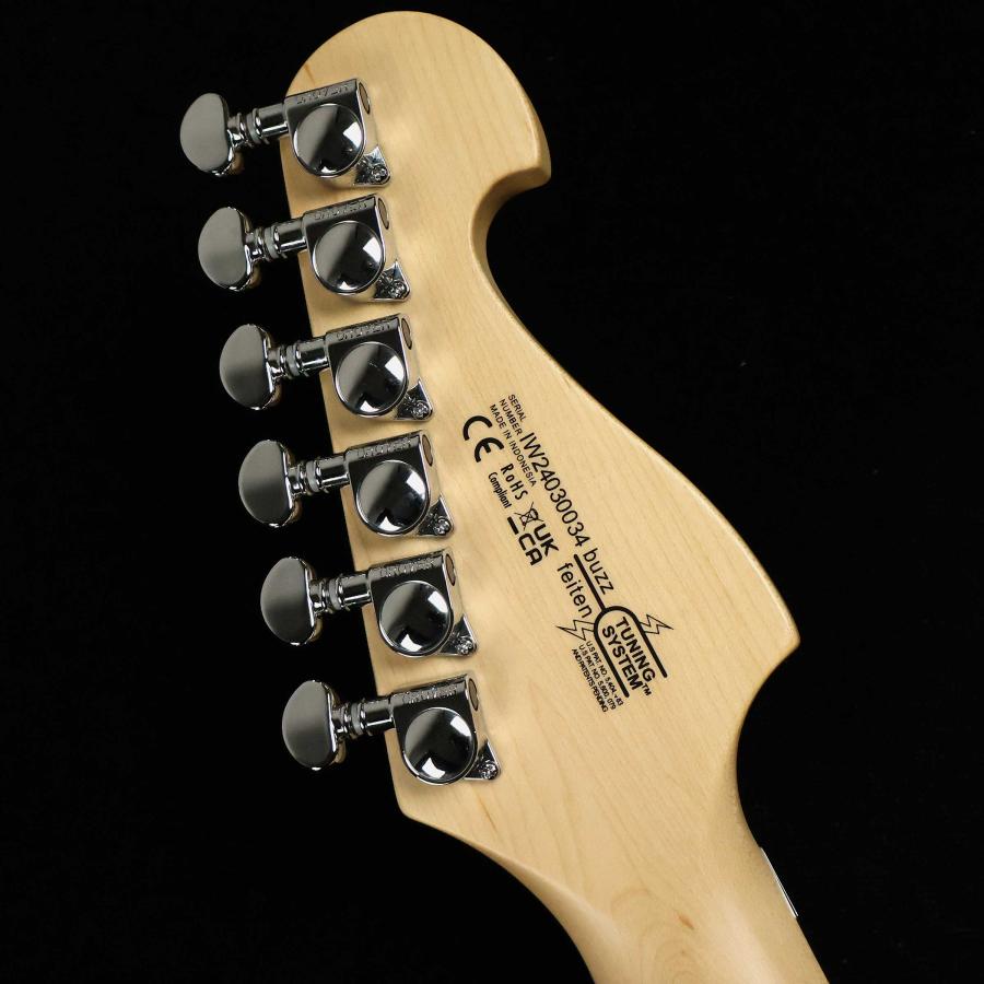 最終入荷】 WASHBURN ワッシュバーン N2 NUNO S/N：IW24030034 ヌーノ