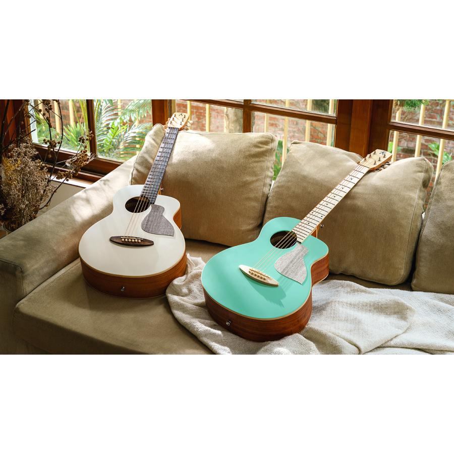 aNueNue アヌエヌエ aNN-MC10 アコースティックギター初心者12点セット