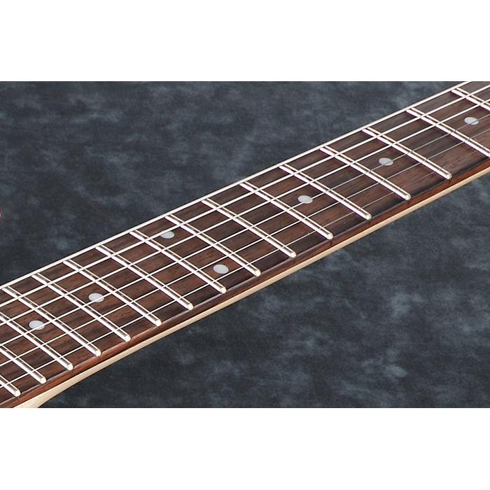 Ibanez（アイバニーズ） PF12MHCE OPN (Open Pore Natural) エレアコ