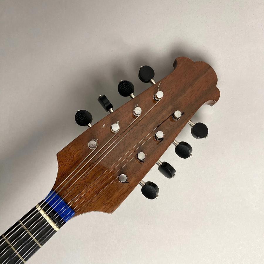 Calace カラーチェ クラシコC トップセラック マンドリン : 島村楽器