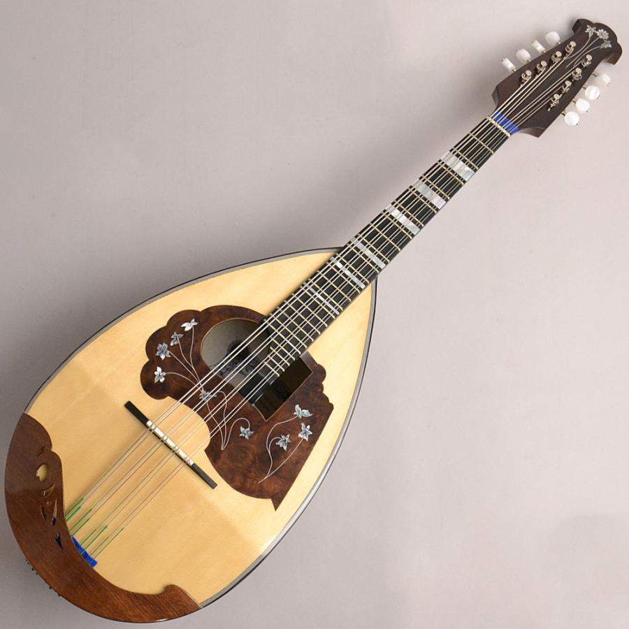 Calace カラーチェ マンドリン No.13 Calace No.13 マンドリン カラーチェ | 島村楽器オンラインストア