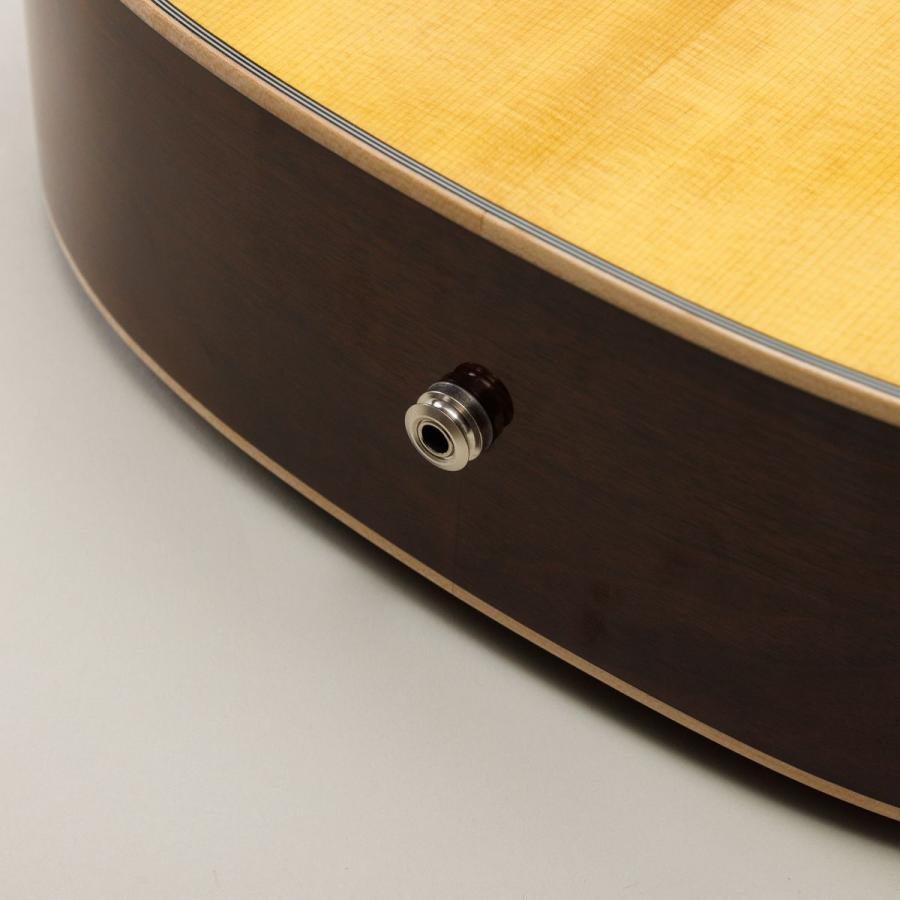 ジェームス（James） J-500S VNT 教本・お手入れ用品付きセレクト14点