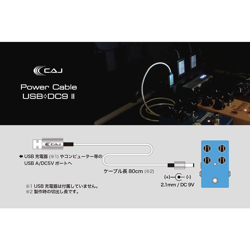 CAJ (Custom Audio Japan) カスタムオーディオジャパン Power Cable