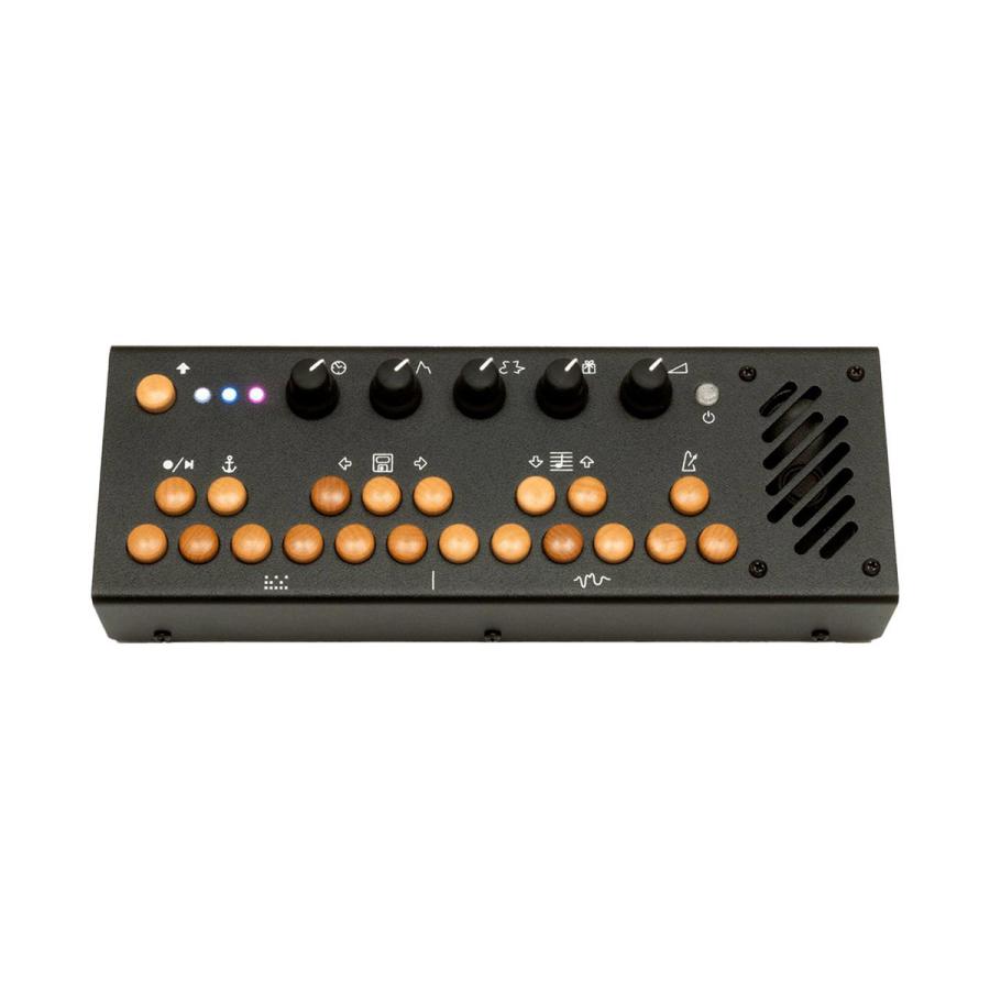 Critter & Guitari 201 Pocket Piano (Black) ポケットシンセサイザー 