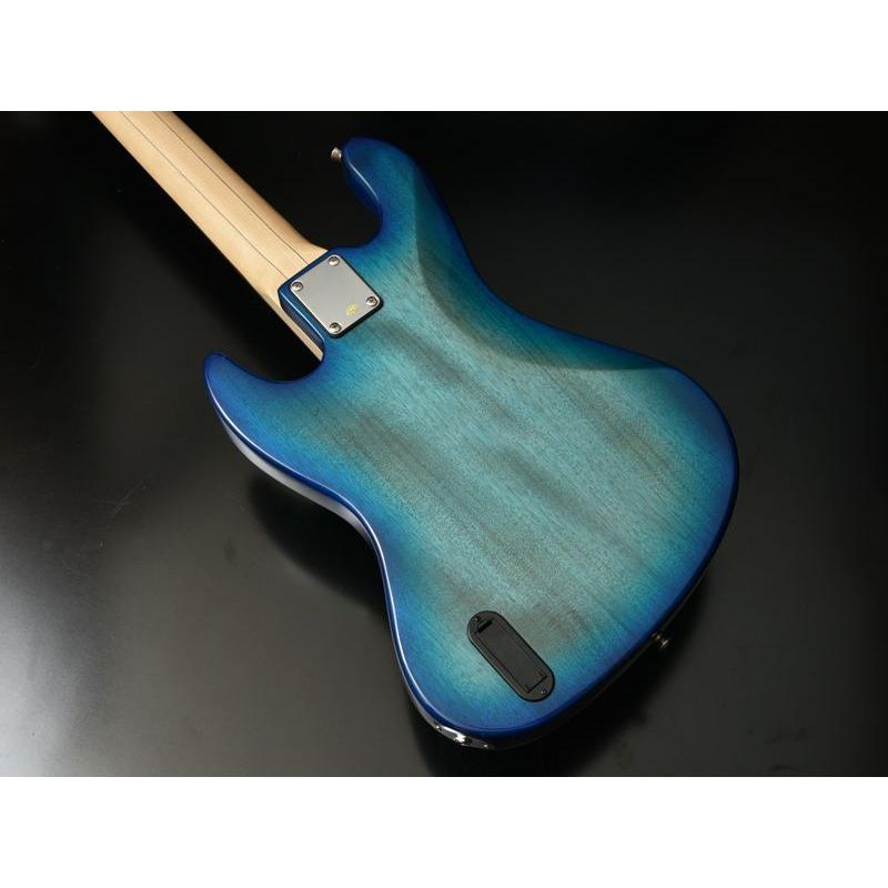 Bacchus（バッカス） WJB5-BP/Act 5弦ベース初心者12点セット充電式