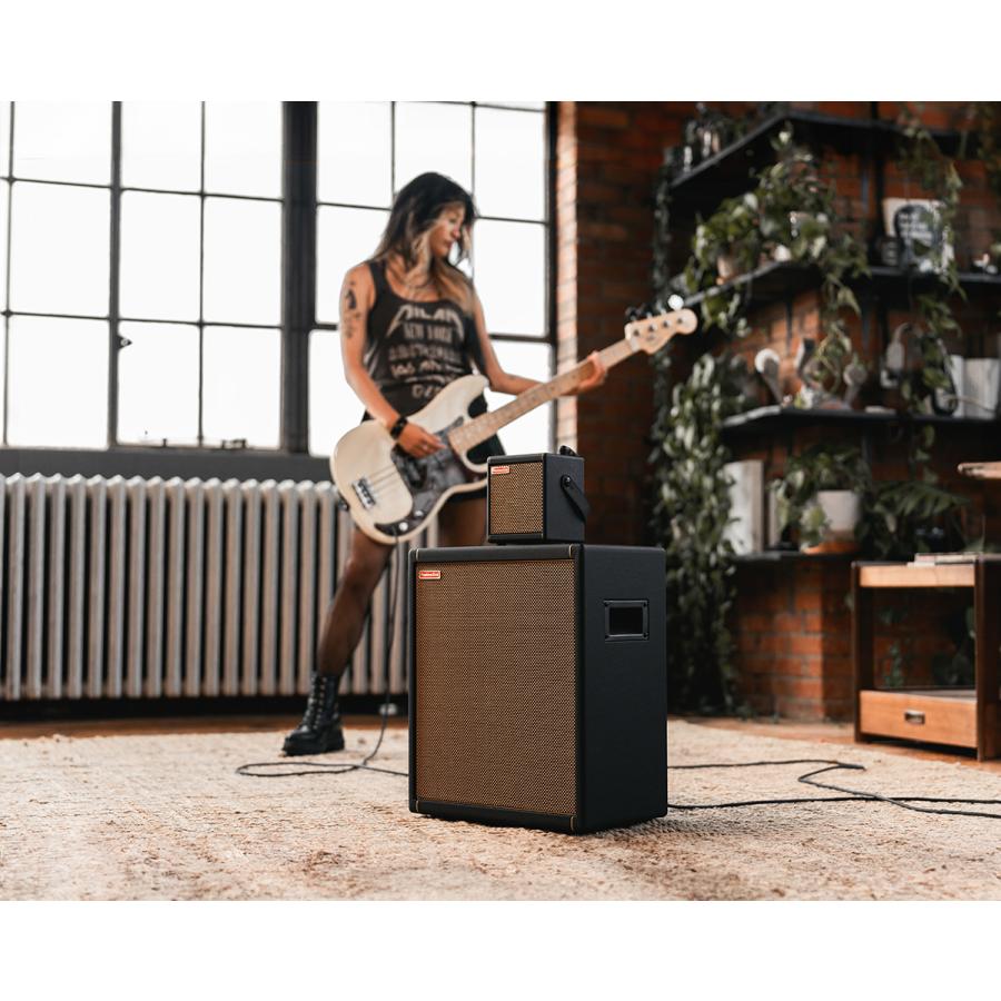 Positive Grid ポジティブグリッド Spark CAB 140W パワード 