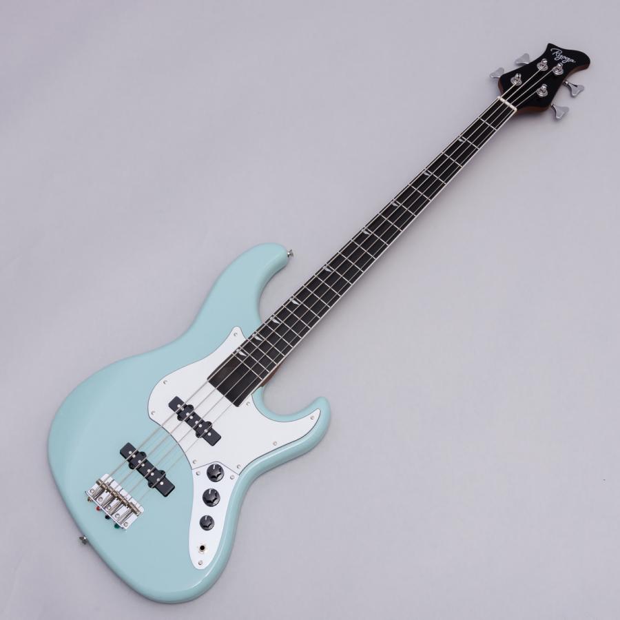 RYOGA（リョウガ） VAL-BASS Surf Green ベース初心者11点セット