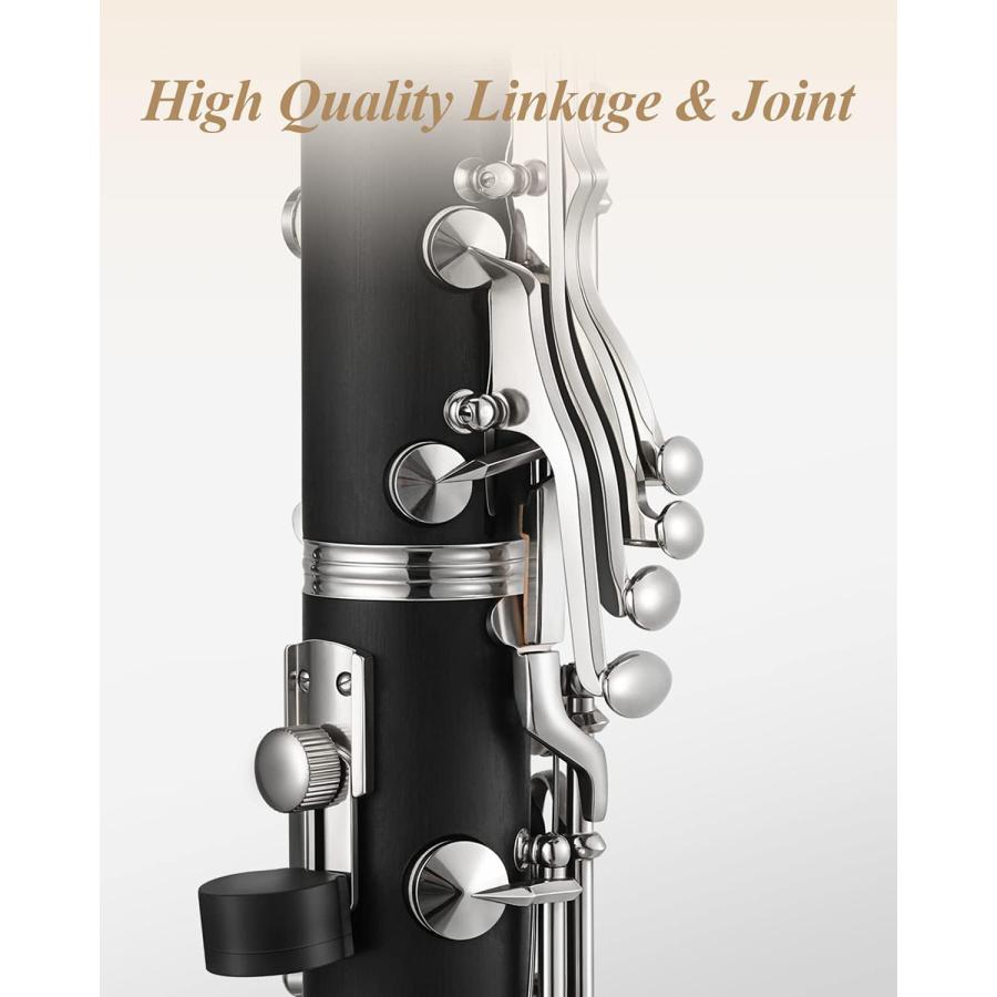 Eastar ECL-300 Black Ebonite Clarinet B♭ クラリネット 専用ケース