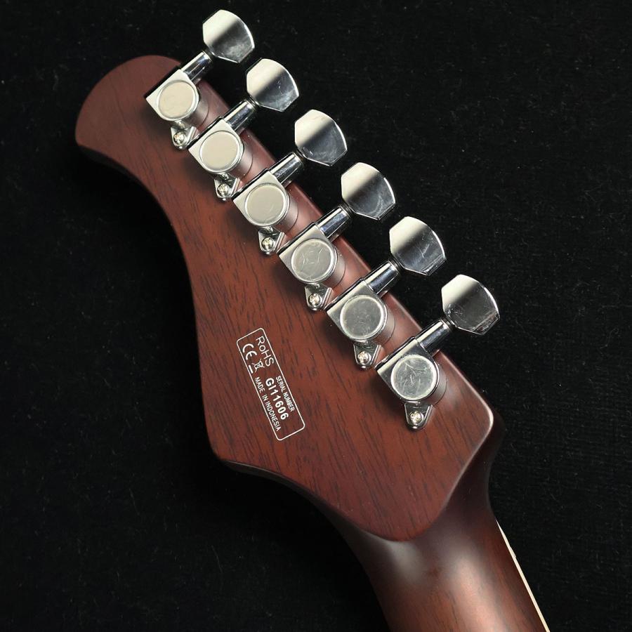 Bacchus（バッカス） 【旧価格】 BARON-FM ST-BR S/N：GI11606 未展示