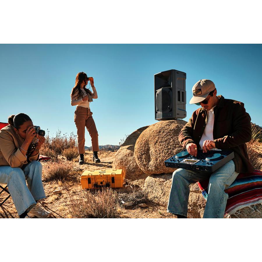 AlphaTheta アルファシータ WAVE-EIGHT SonicLink搭載 1本 ワイヤレス