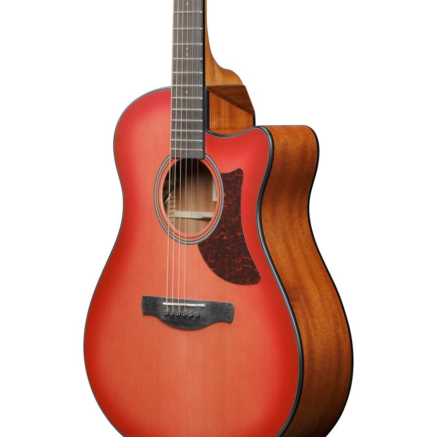Ibanez（アイバニーズ） 数量限定 4000円OFF! AAM50CE CRO (Coral Red
