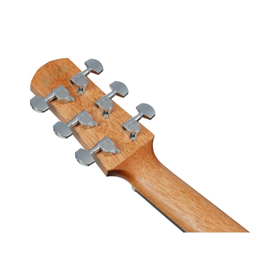 Ibanez（アイバニーズ） 数量限定 4000円OFF! AAM50CE CRO (Coral Red
