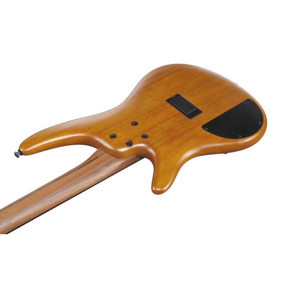 Ibanez（アイバニーズ） SR5AH SUF 5弦ベース初心者12点セット 充電式