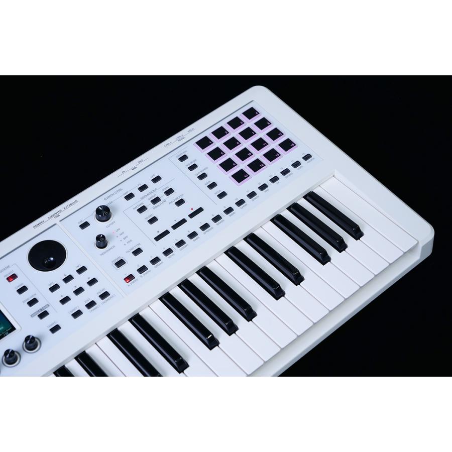 ローランド Roland FANTOM-06-SC 限定ホワイト 追加音源付属 61 ローランド Roland FANTOM-06-SC 限定ホワイト 追加音源付属 61