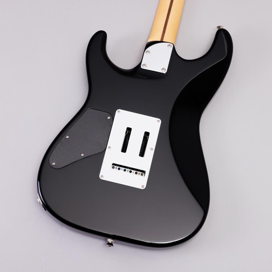 HISTORY（ヒストリー） HSE/m/HH-Limited BLK 30周年記念モデル エレキ