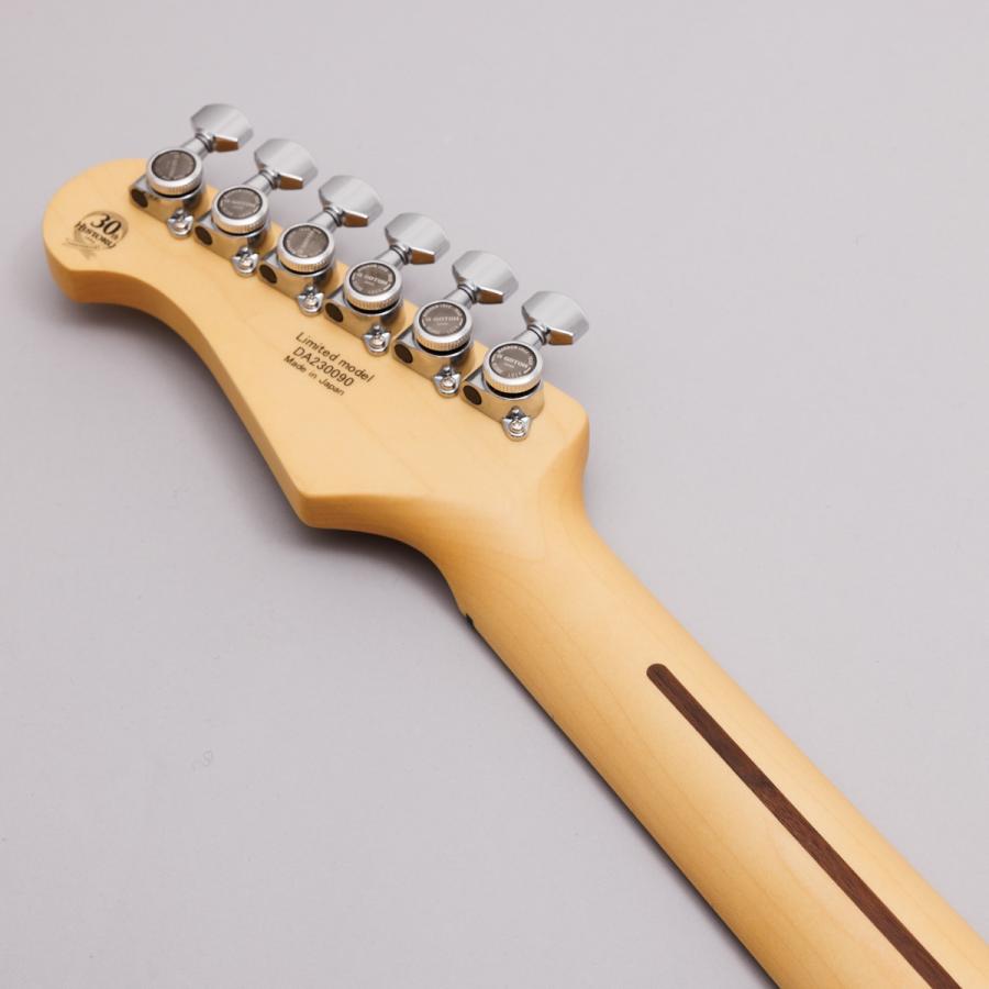 HISTORY（ヒストリー） HSE/m/HH-Limited BLK 30周年記念モデル エレキ