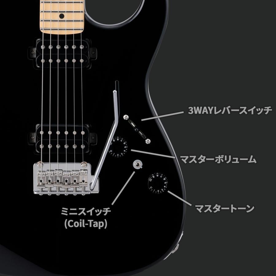 HISTORY ヒストリー HSE/m/HH-Limited DLB 30周年記念モデル エレキギター 日本製 コイルタップ搭載｜shimamura｜08