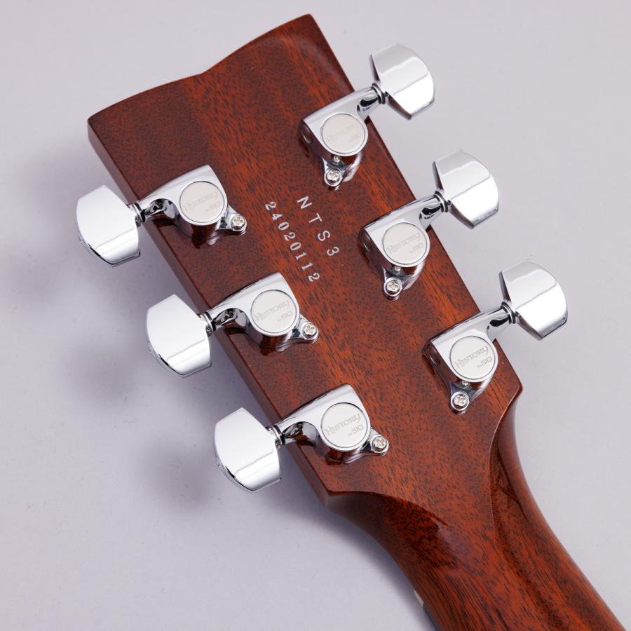 極美品】HISTORY NTS3 アコースティックギター ハードケース付