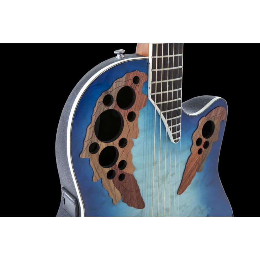 Ovation Celebrity オベーション セレブリティ CE48P-RG-G エレアコギター アコースティックギター セレブリティ・エリートプラス