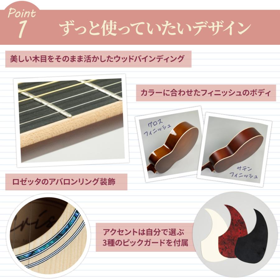 Eris. エリス Aproa アコースティックギター ピックガード3種付属 牛骨