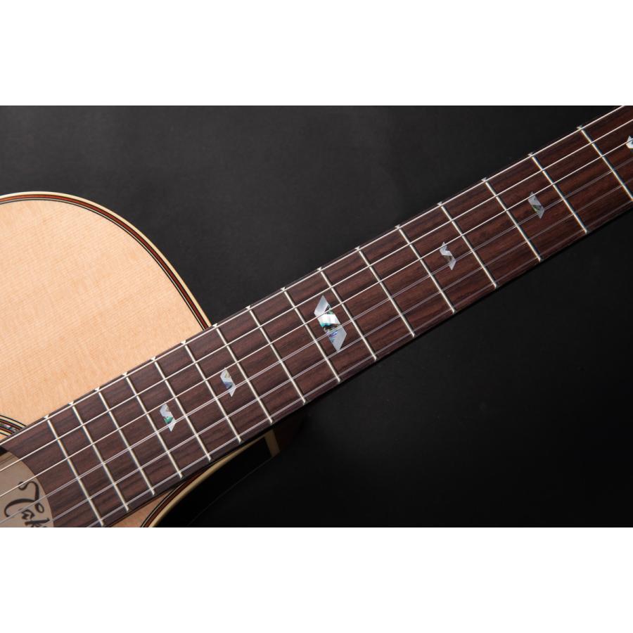 Takamine タカミネ TSP10NCS エレガットギター ナイロン弦 : 島村楽器