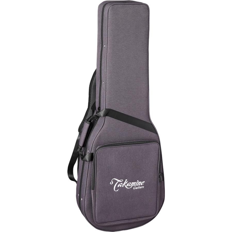 Takamine タカミネ TSP10NCS エレガットギター ナイロン弦 : 島村楽器