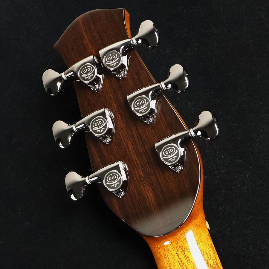 aNueNue（アヌエヌエ）LS600 aNueNue LS600 アコースティックギター Future Series アヌエヌエ aNN