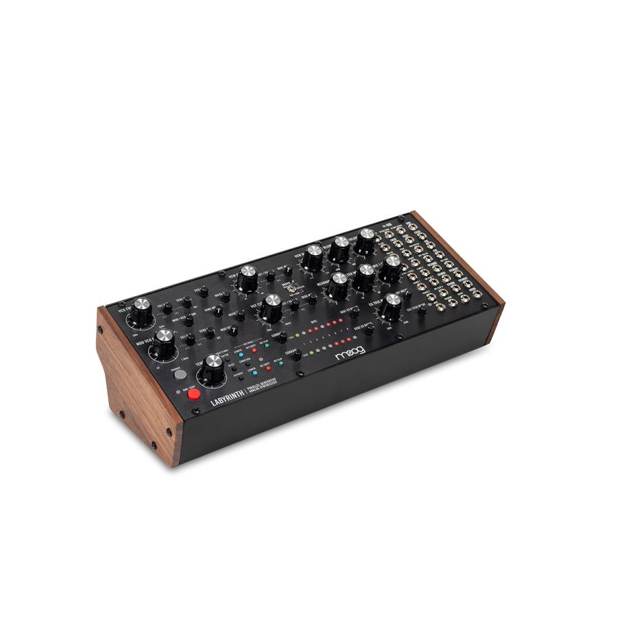 moog モーグ Labyrinth ラビリンス アナログシンセサイザー セミ 